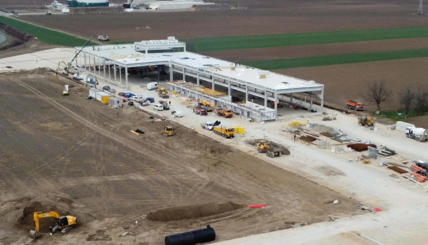 Belt | Sremska Mitrovica