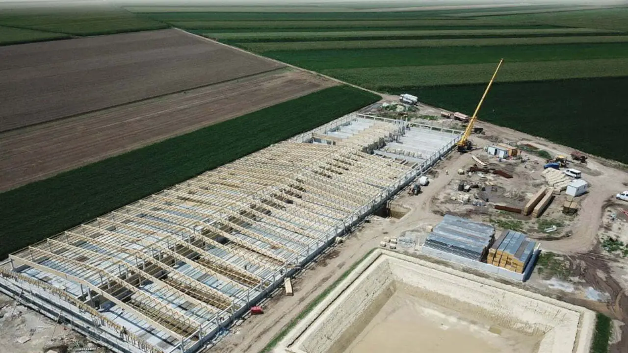 HOLLO COMPANY | Doroslovo