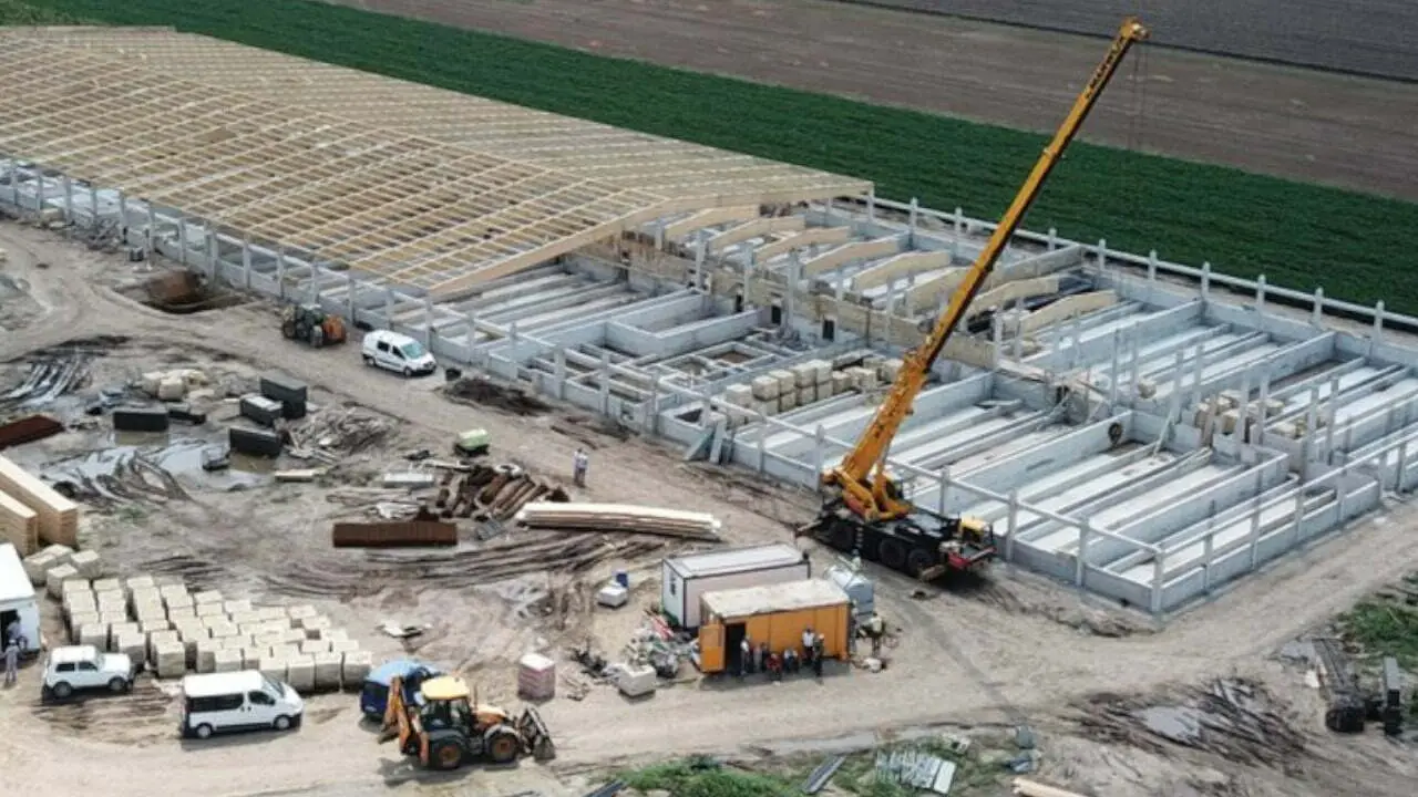 HOLLO COMPANY | Doroslovo